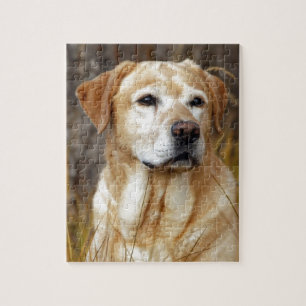 gul labrador retriever pussel
