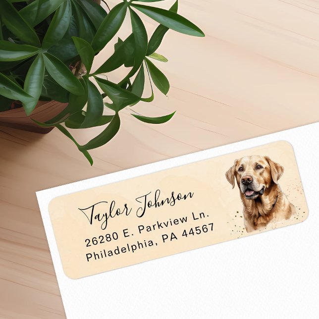 Gul labrador Retriever Returadressetikett Returadress Etikett (Skapare uppladdad)