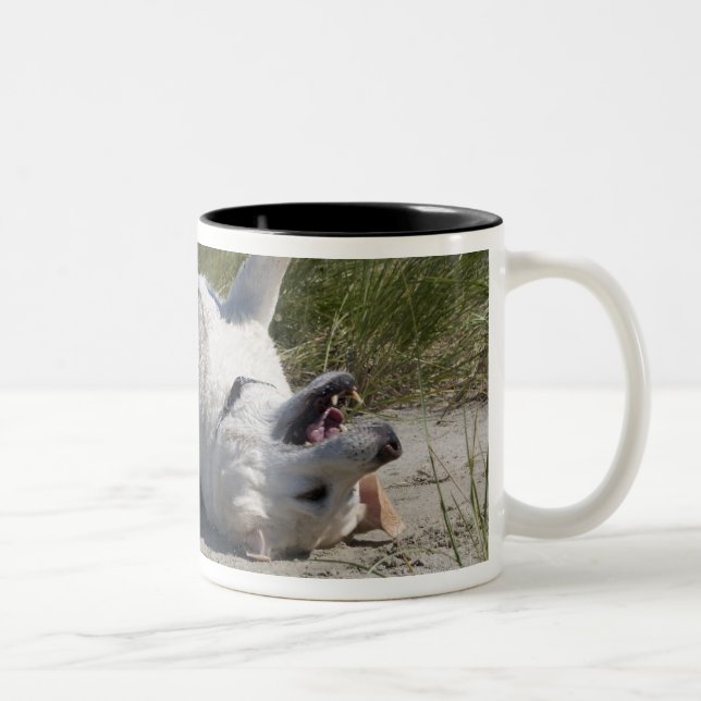 Gul Labrador Retriever Två-Tonad Mugg (Höger)