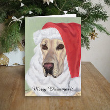 Gul Labrador Santa jul