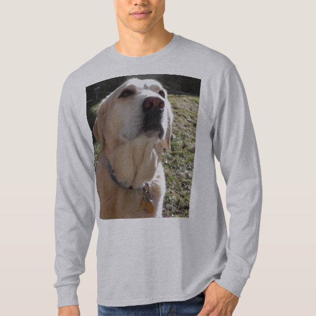 GUL LABRADOR TRÖJA (Framsida)