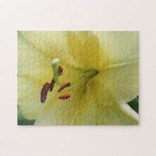 Gul lilja blomma närbild pussel