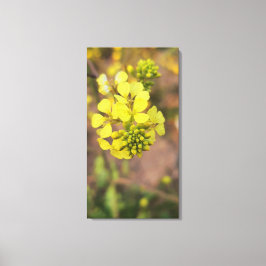 gul liten blomma vår flora samling canvastryck