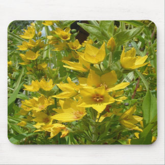 Gul Loosestrife Mousemat Musmatta