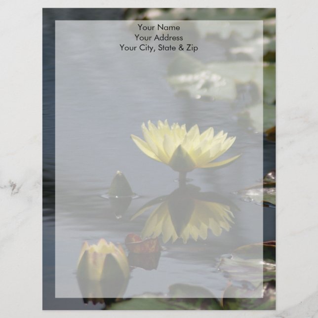 Gul Lotus Näckros Blomma Brevhuvud (Framsida)