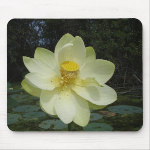 Gul lotusblommablomma musmatta
