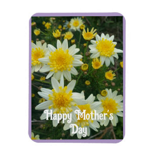 Gul Marguerit Daisy Blommig Morsdags Kort Magnet