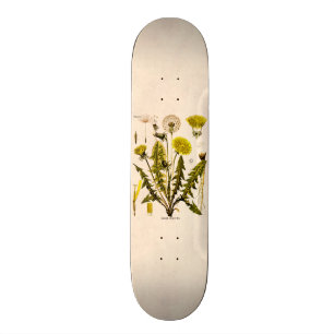 Gul maskros för vintage1800s väck som kärnar ur skateboard bräda 20,5 cm