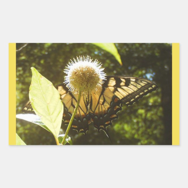 Gul monarkdekal rektangulärt klistermärke (Framsida)