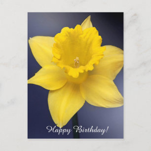 Gul Narcissus Blomma Floral akvarellmålning Vykort