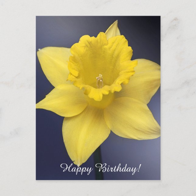 Gul Narcissus Blomma Floral akvarellmålning Vykort (Framsida)