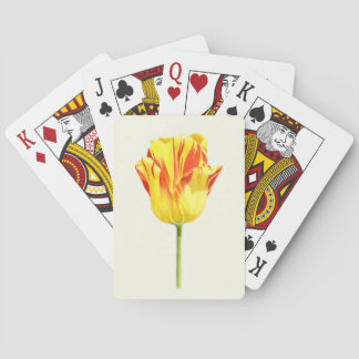 Gul och röd tulpan casinokort
