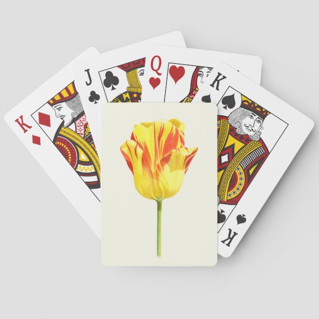 Gul och röd tulpan casinokort (Baksidan)