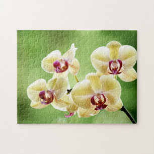 Gul och rosa Orchidblommigt Pussel