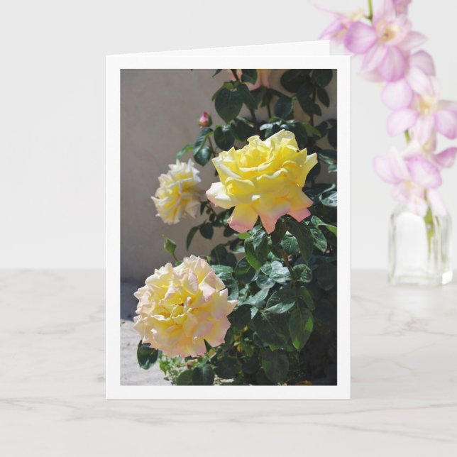 Gul och rosa rosporträtt kort (Orkide)