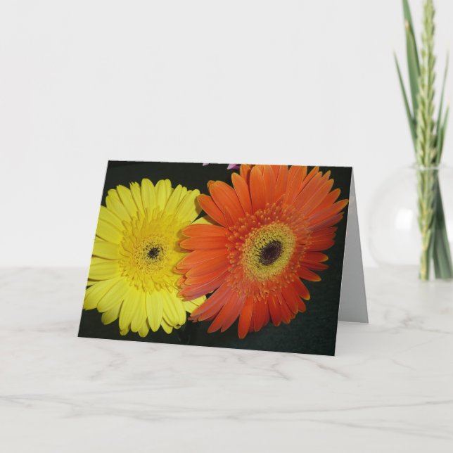 Gul & orange Gerber daisy Kort (Framsida)
