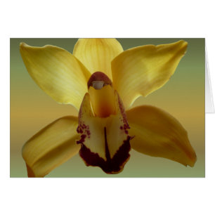 Gul Orchid Hälsningskort
