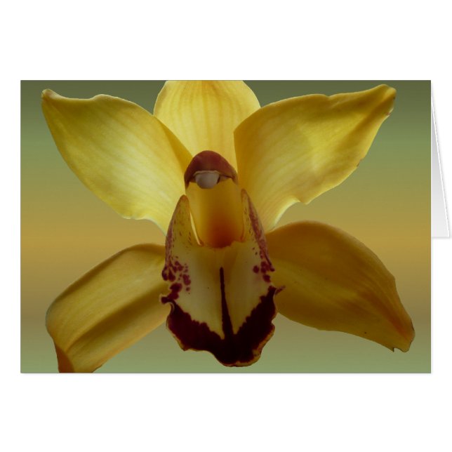Gul Orchid Hälsningskort (Framsidan Horizontal)