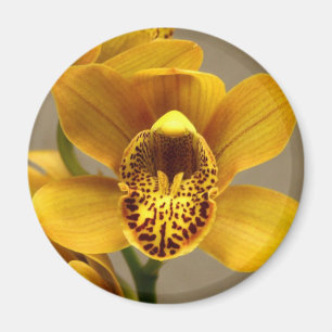 Gul Orchidmagnet Magnet