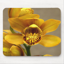 Gul Orchidmousepad Musmatta