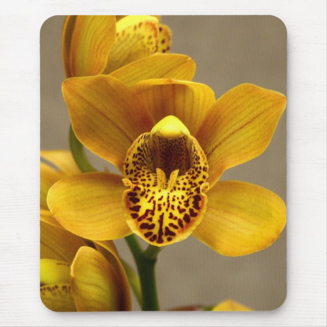 Gul Orchidmousepad Musmatta (Framsidan)