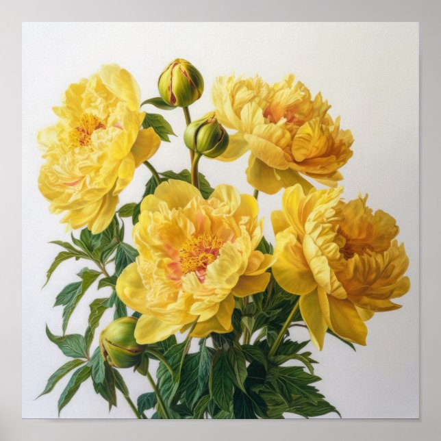 Gul Peony Blomma Konsttryck Poster (Framsidan)