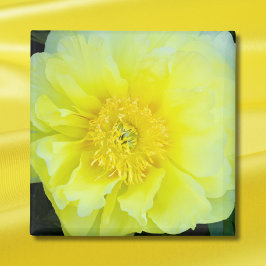 Gul Peony Magnet