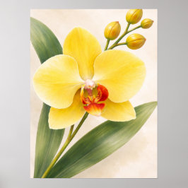Gul Phalaenopsis-Orkidéblomma Botanisk Poster