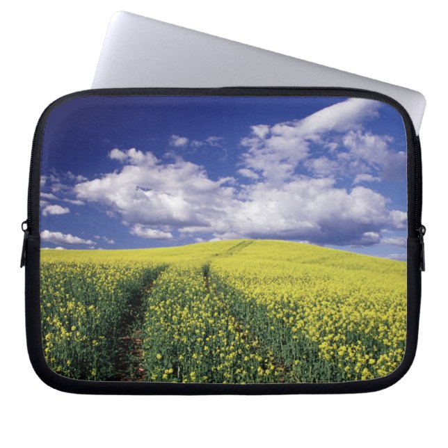 Gul raps i Whitman County, Washington Laptop Sleeve (Framsidan)