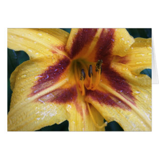 Gul röd Spark Hälsningskort