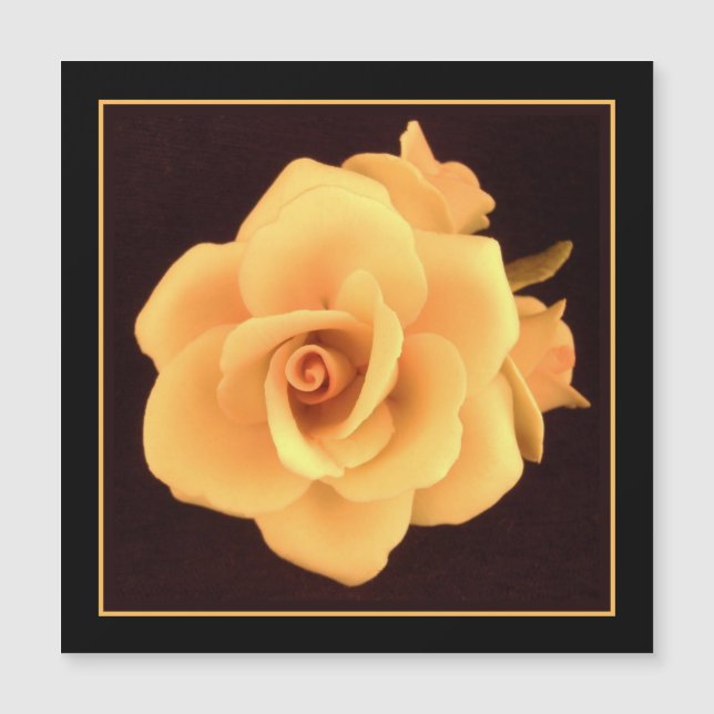 Gul ros, 2004 Photo. (Framsida)