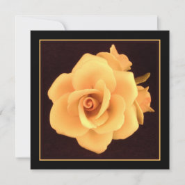 Gul ros, 2004 Photo.