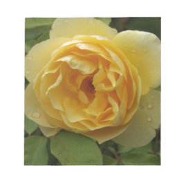 Gul ros anteckningsblock