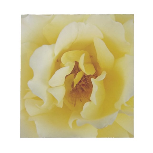 Gul ros anteckningsblock (Framsida)