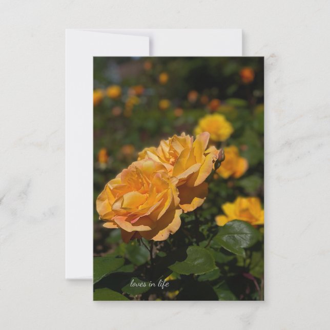 Gul ros anteckningskort (Framsida)