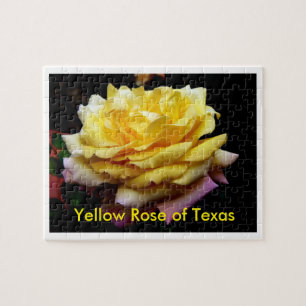 Gul ros av det Texas pussel