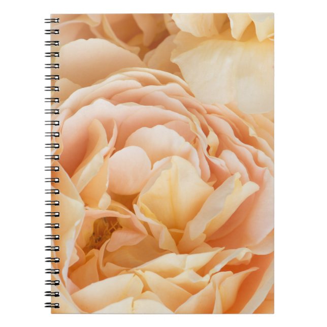 Gul ros blomma anteckningsbok (Framsidan)