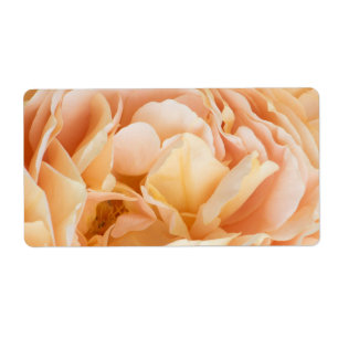 Gul ros blomma fraktsedel
