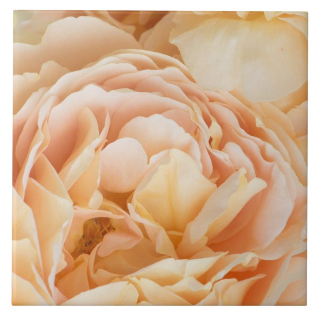 Gul ros blomma kakelplatta (Framsidan)