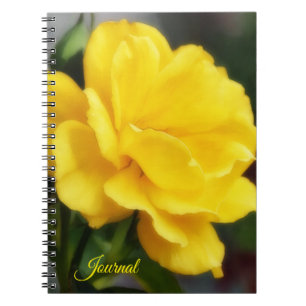 Gul Ros Blomma Konst Personlig Dagbok Anteckningsbok