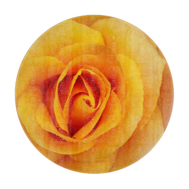 gul ros blommar (Framsidan)