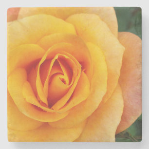 gul ros blommar stenunderlägg