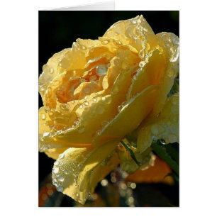 GUL ROS BLOMMIGT 6 HÄLSNINGSKORT