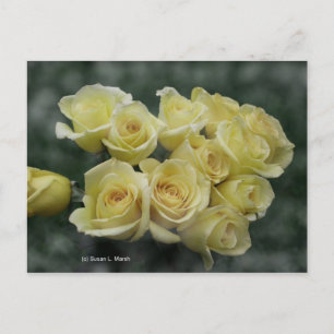 Gul ros bouquet-fläckad bakgrund vykort