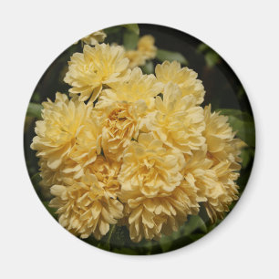 gul ros bouquet magnet