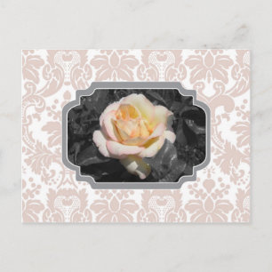 gul ros Damask Notecard Vykort