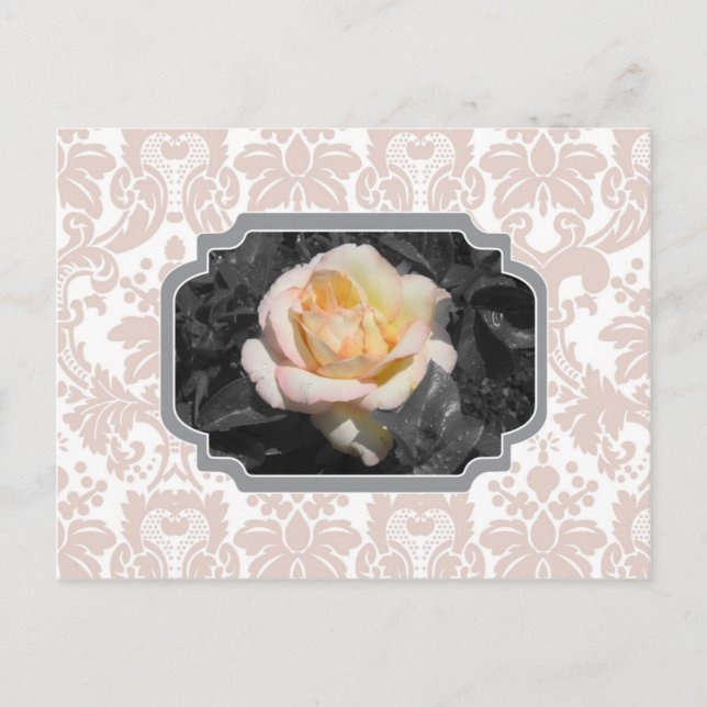 gul ros Damask Notecard Vykort (Framsida)