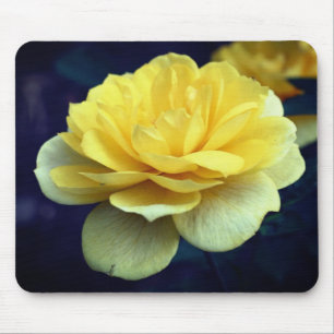 Gul ros Flower Musmatta