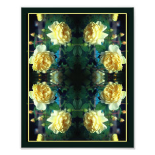 Gul ros Flower Pair Spegel Abstrakt 8x10 Fototryck