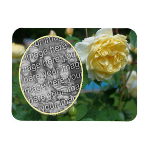 Gul ros Flower Ram Skapar ditt eget foto Magnet